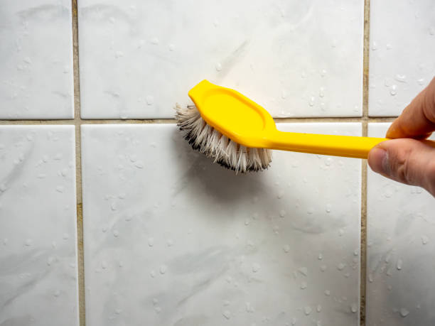 Best Post-Flood Mold Remediation in Blue Mound, TX