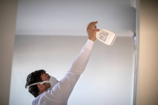 Professional Mold Remediation in Blue Mound, TX